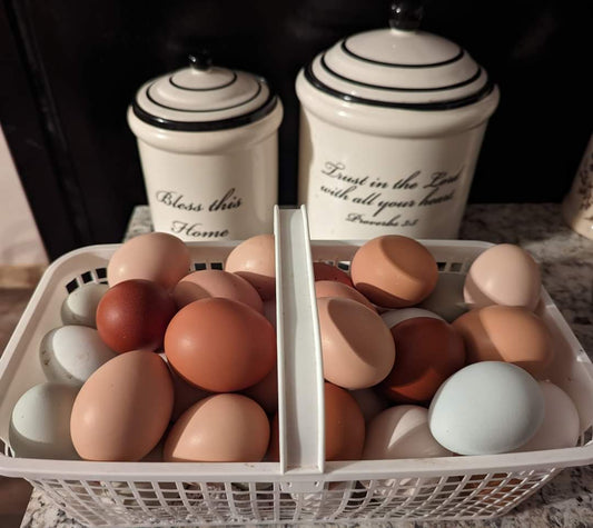 Farm Fresh Eggs Local Pickup Only