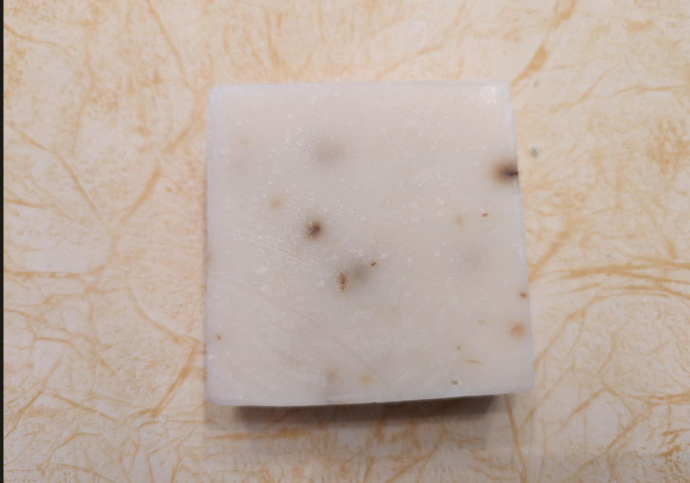 Eucalyptus Aloe Handmade Soap